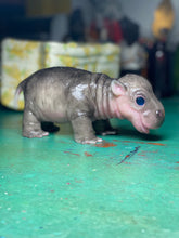 Load image into Gallery viewer, CUSTOM Full body silicone baby Hippo
