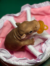 Load image into Gallery viewer, AVAILABLE Full body silicone baby Hippo
