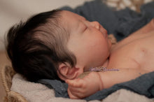 Load image into Gallery viewer, BLANK vinyl kit Kaito by Irina Kodrashova (includes: vinyl head, full limbs &amp; fabric body, COA &amp; SHIPPING)
