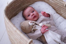 Load image into Gallery viewer, BLANK vinyl kit Mayven by Viviane Aleluia (includes: vinyl head, full limbs, non gender belly plate &amp; fabric body)
