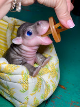 Load image into Gallery viewer, CUSTOM Full body silicone baby Hippo
