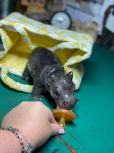Load image into Gallery viewer, CUSTOM Full body silicone baby Hippo
