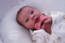 Load image into Gallery viewer, BLANK vinyl kit Mayven by Viviane Aleluia (includes: vinyl head, full limbs, non gender belly plate &amp; fabric body)
