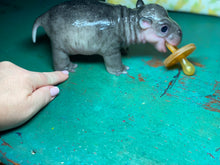 Load image into Gallery viewer, CUSTOM Full body silicone baby Hippo
