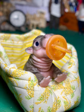 Load image into Gallery viewer, CUSTOM Full body silicone baby Hippo
