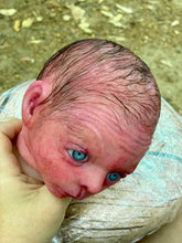 Load image into Gallery viewer, AVAILABLE PROTOTYPE silicone cuddle Ollie in soft blend with HAIR
