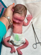 Load image into Gallery viewer, AVAILABLE Full body silicone baby girl crier 12&quot; ROOTED
