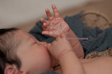 Load image into Gallery viewer, BLANK vinyl kit Kaito by Irina Kodrashova (includes: vinyl head, full limbs &amp; fabric body, COA &amp; SHIPPING)
