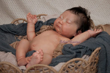 Load image into Gallery viewer, BLANK vinyl kit Kaito by Irina Kodrashova (includes: vinyl head, full limbs &amp; fabric body, COA &amp; SHIPPING)
