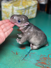 Load image into Gallery viewer, CUSTOM Full body silicone baby Hippo
