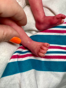 AVAILABLE Rooted Reborn premature baby Promise by Marita Winters