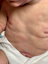 Load image into Gallery viewer, NOT AVAILABLE - PLEASE DON’T PLACE AN ORDER! Full body silicone baby boy Blu’
