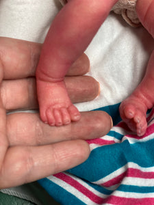 AVAILABLE Reborn mini Petunia 8” by Marita Winters