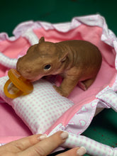 Load image into Gallery viewer, AVAILABLE Full body silicone baby Hippo
