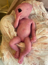Load image into Gallery viewer, Full body silicone fantasy alien 15” baby girl
