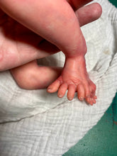 Load image into Gallery viewer, AVAILABLE Reborn baby Denver Rose AWAKE
