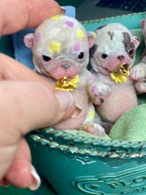 Load image into Gallery viewer, AVAILABLE PROTOTYPE silicone puppy Button in soft blend platinum cure silicone
