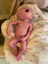 Load image into Gallery viewer, Full body silicone fantasy alien 15” baby girl

