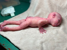 Load image into Gallery viewer, CUSTOM Prototype full body Silicone premature baby doll Amelia (baby girl ) in soft blend with armatures
