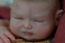 Load image into Gallery viewer, Reborn blank (unpainted) vinyl kit Arisha 11”
