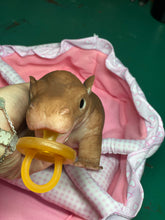 Load image into Gallery viewer, AVAILABLE Full body silicone baby Hippo

