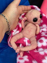 Load image into Gallery viewer, CUSTOM Full body silicone mini baby girl Alien  in super soft blend 9.4”
