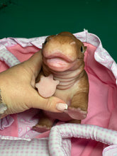 Load image into Gallery viewer, AVAILABLE Full body silicone baby Hippo
