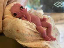 Load image into Gallery viewer, Full body silicone fantasy alien 15” baby girl
