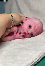Load image into Gallery viewer, CUSTOM Prototype full body Silicone premature baby doll Amelia (baby girl ) in soft blend with armatures
