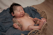 Load image into Gallery viewer, BLANK vinyl kit Kaito by Irina Kodrashova (includes: vinyl head, full limbs &amp; fabric body, COA &amp; SHIPPING)
