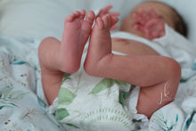 Load image into Gallery viewer, BLANK vinyl kit Mayven by Viviane Aleluia (includes: vinyl head, full limbs, non gender belly plate &amp; fabric body)
