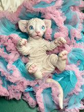 Load image into Gallery viewer, NOT AVAILABLE  Full body silicone white sphinx kitten
