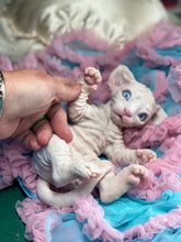 Load image into Gallery viewer, NOT AVAILABLE  Full body silicone white sphinx kitten
