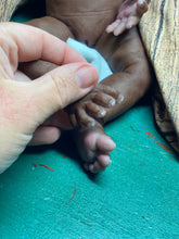 Load image into Gallery viewer, Full body silicone kit Prada 11.5” (baby girl) in super soft blend in dark biracial skin colour in super super soft platinum silicone (custom)
