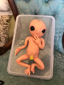 CUSTOM Full body silicone fantasy alien baby boy