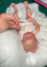 Load image into Gallery viewer, CUSTOM Reborn premature baby Promise by Marita Winters
