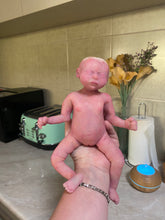 Load image into Gallery viewer, Custom for Karen Murphy full body silicone Adriana 9&quot;
