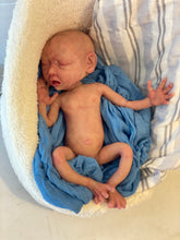 Load image into Gallery viewer, CUSTOM Full body silicone baby boy crier 12&quot; ROOTED
