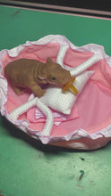 Load and play video in Gallery viewer, AVAILABLE Full body silicone baby Hippo
