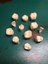 Load image into Gallery viewer, Set of human teeth (resin replica)
