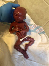 Load image into Gallery viewer, CUSTOM Blank (unpainted) full body silicone kit Hope 12” (baby girl) in ultra premature baby colour in super soft platinum silicone
