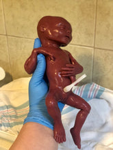 Load image into Gallery viewer, CUSTOM Blank (unpainted) full body silicone kit Hope 12” (baby girl) in ultra premature baby colour in super soft platinum silicone
