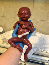 Load image into Gallery viewer, CUSTOM Blank (unpainted) full body silicone kit Hope 12” (baby girl) in ultra premature baby colour in super soft platinum silicone
