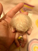 Load image into Gallery viewer, CUSTOM full body silicone mini doll Laney (rooted)
