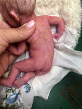 Load image into Gallery viewer, Custom full body silicone mini kit Kenzo 8” in super soft blend with 3D skin effect ROOTED
