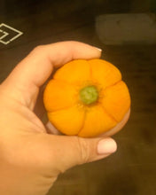 Load image into Gallery viewer, Custom set of four baby vegetables full body silicone kits set of four (price for 4 items)
