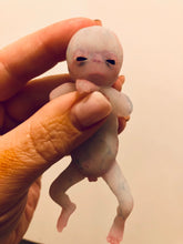 Load image into Gallery viewer, AVAILABLE full body silicone fantasy mini kit Leo( baby boy) in super soft blend glow in the dark- project “I exist!”
