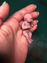 Load image into Gallery viewer, AVAILABLE full body silicone micro baby boy Zane in super soft blend with 3D skin effect
