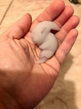 Load image into Gallery viewer, Custom full body silicone mini alien (alien fetus)
