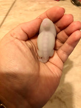 Load image into Gallery viewer, Custom full body silicone mini alien (alien fetus)
